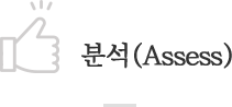 분석(Assess)