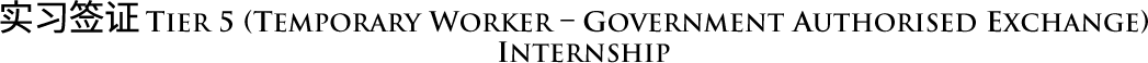 temporary worker – government authorised exchange internship