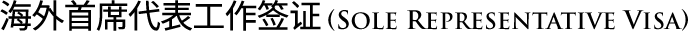 sole representative visa