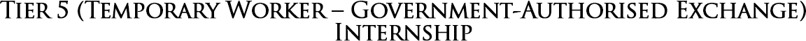 tier 5 (temporary worker – government authorised exchange) internship
