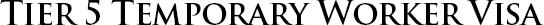 tier 5 - temporary worker visa