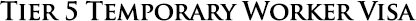 tier 5 - temporary worker visa