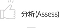 分析(Assess)