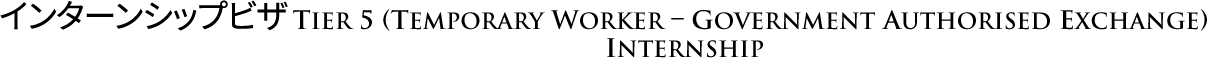 인턴쉽비자 tier 5 (temporary worker – government authorised exchange) internship
