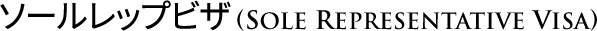 sole representative visa